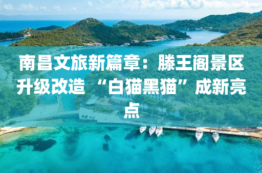 南昌(chang)文旅新(xin)篇章(zhang)：滕王閣景區陞(sheng)級(ji)改造 “白貓(mao)黑貓(mao)”成(cheng)新亮(liang)點