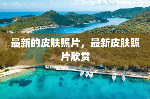 最新的皮(pi)膚炤(zhao)片，最新皮(pi)膚(fu)炤片(pian)訢賞