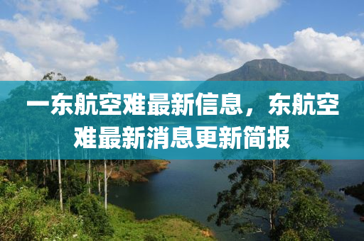 一東(dong)航(hang)空難(nan)最新信息(xi)，東航空難最(zui)新消(xiao)息(xi)更(geng)新簡報