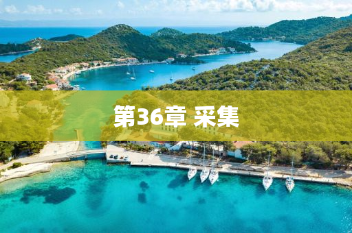 第(di)36章(zhang) 採集
