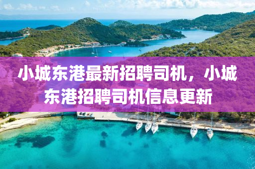 小(xiao)城東港(gang)最(zui)新(xin)招(zhao)聘司機，小(xiao)城東(dong)港招聘司(si)機(ji)信(xin)息(xi)更新
