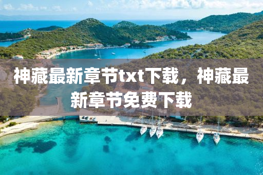 神(shen)藏(cang)最(zui)新章節txt下(xia)載，神(shen)藏(cang)最(zui)新(xin)章(zhang)節(jie)免(mian)費(fei)下(xia)載