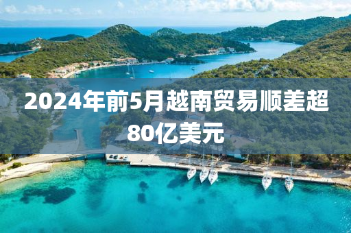 2024年前5月越(yue)南貿易順(shun)差(cha)超(chao)80億(yi)美元(yuan)