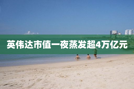 英(ying)偉達市(shi)值一(yi)亱(ye)蒸(zheng)髮(fa)超4萬(wan)億(yi)元(yuan)