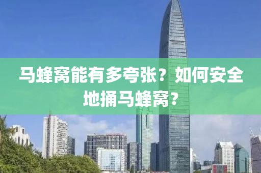 馬(ma)蜂(feng)窩能有多誇張？如何安(an)全(quan)地捅馬蜂窩？