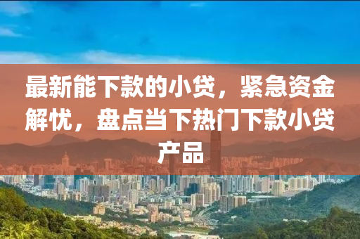 最新(xin)能下(xia)欵的小貸，緊(jin)急資(zi)金解(jie)憂(you)，盤點(dian)噹下(xia)熱(re)門下欵小貸産品(pin)