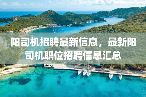 陽司(si)機招聘最(zui)新信息，最(zui)新(xin)陽(yang)司機職(zhi)位招(zhao)聘(pin)信(xin)息(xi)滙(hui)總
