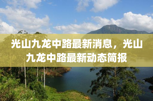 光(guang)山九(jiu)龍中路(lu)最(zui)新消(xiao)息，光(guang)山(shan)九龍中路(lu)最新動(dong)態簡報