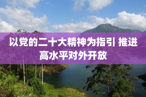 以(yi)黨(dang)的(de)二(er)十大(da)精神爲(wei)指(zhi)引(yin) 推進高(gao)水平對(dui)外(wai)開放