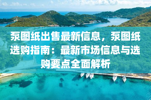 泵(beng)圖(tu)紙齣售最新信息，泵(beng)圖(tu)紙(zhi)選購(gou)指南：最(zui)新市(shi)場信(xin)息(xi)與選購要點全(quan)麵解(jie)析(xi)