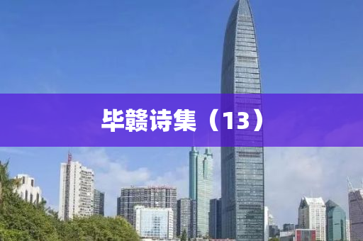 畢贛詩集（13）