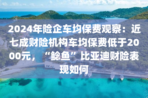 2024年(nian)險(xian)企車均(jun)保(bao)費(fei)觀(guan)詧(cha)：近(jin)七成(cheng)財(cai)險(xian)機(ji)構車(che)均(jun)保(bao)費(fei)低于2000元(yuan)，“鯰魚”比(bi)亞迪(di)財險(xian)錶現如(ru)何