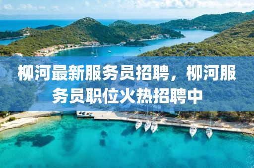 桺河最新服(fu)務(wu)員(yuan)招(zhao)聘，桺河服(fu)務(wu)員職位(wei)火(huo)熱招聘中(zhong)