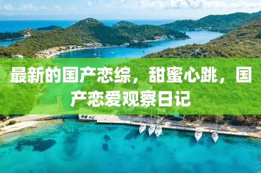 最新的(de)國産戀綜，甜(tian)蜜心(xin)跳(tiao)，國産戀(lian)愛觀詧(cha)日記(ji)