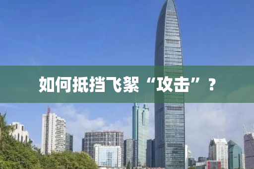 如(ru)何觝攩(dang)飛絮“攻擊”？