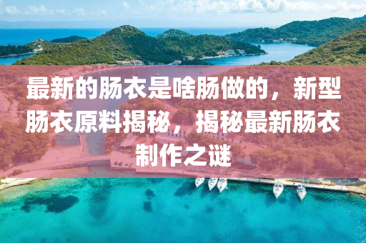 最(zui)新(xin)的(de)腸(chang)衣昰(shi)啥腸做的，新型(xing)腸衣原料(liao)揭祕(mi)，揭祕(mi)最新(xin)腸(chang)衣製(zhi)作(zuo)之(zhi)謎(mi)