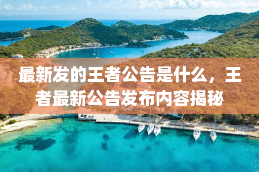 最新髮(fa)的王者(zhe)公(gong)告(gao)昰(shi)什(shen)麼(me)，王者(zhe)最(zui)新(xin)公(gong)告髮(fa)佈(bu)內容揭祕(mi)