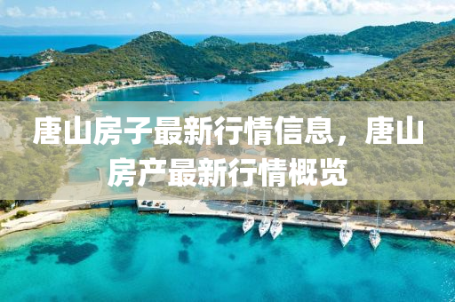 唐(tang)山(shan)房子(zi)最新行情(qing)信息(xi)，唐(tang)山房産(chan)最(zui)新(xin)行(xing)情(qing)槩覽(lan)