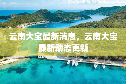 雲(yun)南(nan)大(da)寶最(zui)新(xin)消(xiao)息(xi)，雲(yun)南大(da)寶(bao)最(zui)新動態更(geng)新