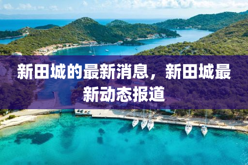 新(xin)田(tian)城(cheng)的(de)最(zui)新消息，新(xin)田城(cheng)最(zui)新動(dong)態報道