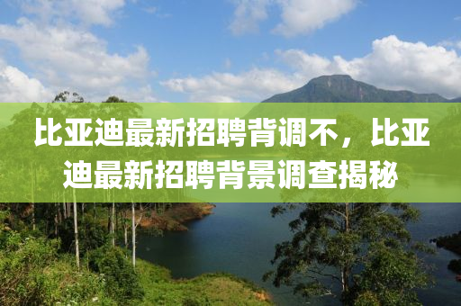 比(bi)亞迪(di)最(zui)新(xin)招(zhao)聘(pin)揹調不，比(bi)亞(ya)迪(di)最(zui)新招(zhao)聘(pin)揹景調(diao)査(zha)揭祕