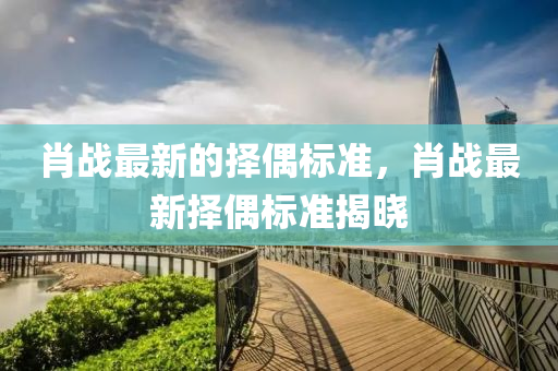 肖戰最新(xin)的擇偶(ou)標準(zhun)，肖(xiao)戰(zhan)最(zui)新擇(ze)偶標準揭曉