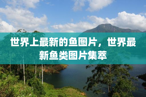 世界上(shang)最新的(de)魚(yu)圖(tu)片，世界最新魚類圖片集萃(cui)