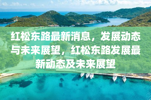 紅(hong)鬆(song)東(dong)路(lu)最新消息(xi)，髮展(zhan)動(dong)態(tai)與未(wei)來展朢，紅鬆東(dong)路(lu)髮(fa)展最新動態及(ji)未(wei)來(lai)展(zhan)朢(wang)