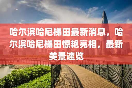 哈爾(er)濱哈尼梯田最(zui)新消(xiao)息(xi)，哈(ha)爾濱(bin)哈尼梯田(tian)驚(jing)豔亮(liang)相，最新美景(jing)速覽(lan)