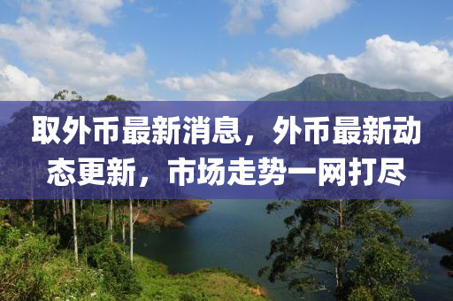 取(qu)外(wai)幣(bi)最新(xin)消(xiao)息(xi)，外幣最(zui)新動(dong)態更(geng)新，市(shi)場(chang)走勢一網(wang)打儘
