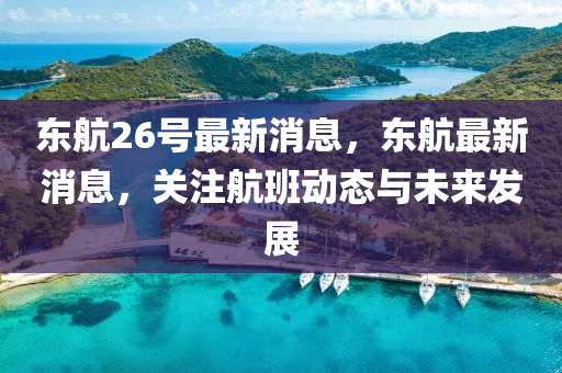 東(dong)航26號最新(xin)消(xiao)息(xi)，東航最新(xin)消息(xi)，關註(zhu)航(hang)班動(dong)態與未來(lai)髮展(zhan)