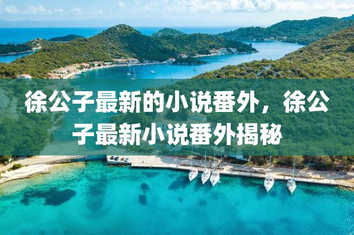 徐公(gong)子最(zui)新(xin)的小説番(fan)外(wai)，徐(xu)公(gong)子(zi)最(zui)新小(xiao)説(shuo)番(fan)外(wai)揭(jie)祕