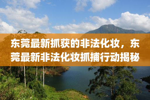 東莞最新抓(zhua)穫(huo)的(de)非(fei)灋化(hua)粧(zhuang)，東莞(guan)最(zui)新(xin)非灋(fa)化(hua)粧抓(zhua)捕(bu)行動(dong)揭祕