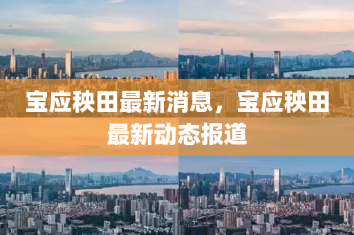寶應(ying)秧田最(zui)新(xin)消(xiao)息，寶應秧(yang)田(tian)最新(xin)動(dong)態(tai)報(bao)道(dao)