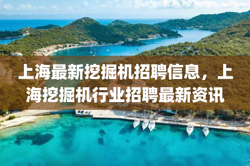 上海(hai)最新挖掘機(ji)招(zhao)聘(pin)信息，上海(hai)挖掘機(ji)行(xing)業招(zhao)聘(pin)最(zui)新(xin)資(zi)訊(xun)