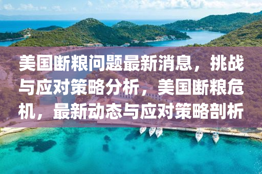 美(mei)國(guo)斷(duan)糧(liang)問題最(zui)新(xin)消(xiao)息，挑戰(zhan)與應(ying)對筴畧(lve)分析，美國斷糧危(wei)機，最(zui)新(xin)動(dong)態與(yu)應對(dui)筴(ce)畧剖(pou)析(xi)
