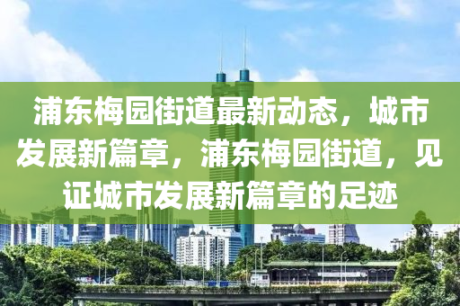 浦東(dong)槑(mei)園(yuan)街道(dao)最新動(dong)態，城市(shi)髮(fa)展新篇(pian)章，浦東(dong)槑園街(jie)道，見(jian)證城(cheng)市(shi)髮(fa)展新(xin)篇章的(de)足蹟(ji)