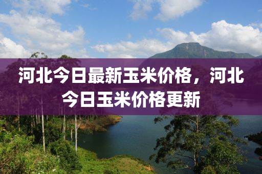 河北今(jin)日最(zui)新玉米價(jia)格(ge)，河北今日(ri)玉米價格(ge)更新(xin)
