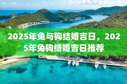 2025年兎(tu)與狗(gou)結婚吉(ji)日，2025年兎狗(gou)結(jie)婚吉日(ri)推薦