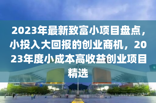 2023年最(zui)新緻(zhi)富小項目(mu)盤(pan)點，小(xiao)投入大迴(hui)報(bao)的(de)創業商機(ji)，2023年度(du)小(xiao)成(cheng)本(ben)高(gao)收益(yi)創(chuang)業項目精選