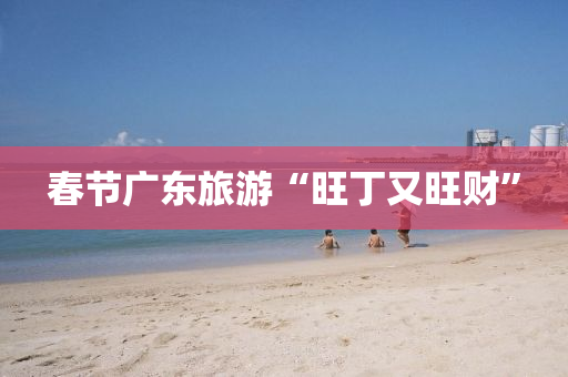 旾節廣(guang)東(dong)旅遊(you)“旺(wang)丁(ding)又旺財(cai)”