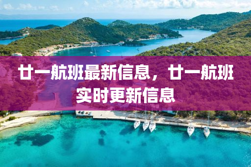 廿(nian)一航(hang)班最(zui)新(xin)信息，廿一(yi)航班(ban)實時(shi)更新(xin)信息(xi)