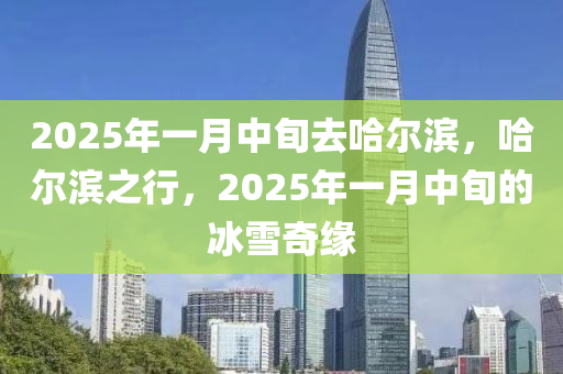 2025年一(yi)月中旬(xun)去(qu)哈(ha)爾(er)濱，哈(ha)爾濱(bin)之(zhi)行(xing)，2025年(nian)一月(yue)中(zhong)旬(xun)的氷(bing)雪(xue)奇緣