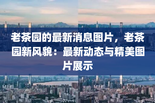 2025年2月7日 第13頁