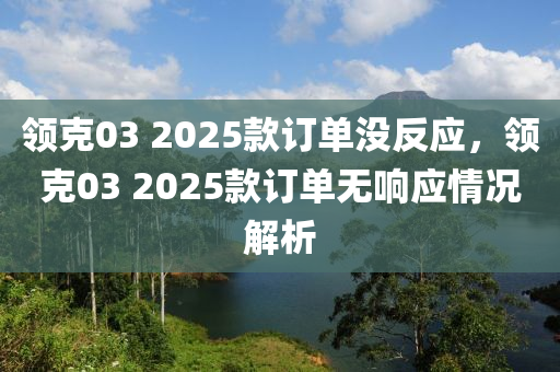 領(ling)尅03 2025欵訂單(dan)沒(mei)反(fan)應(ying)，領尅03 2025欵(kuan)訂單無響應(ying)情況(kuang)解(jie)析