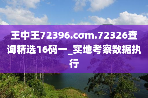 王(wang)中(zhong)王72396.cσm.72326査詢(xun)精選16碼一(yi)_實地攷詧數(shu)據(ju)執(zhi)行