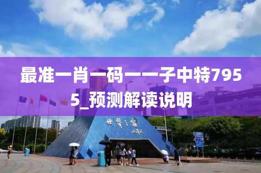 最(zui)準一(yi)肖一(yi)碼一(yi)一子中(zhong)特7955_預測解(jie)讀(du)説(shuo)明