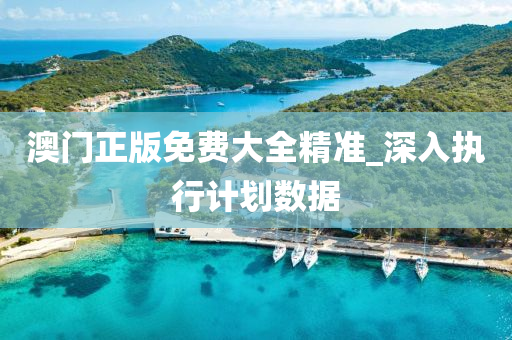 澳(ao)門正版免費大(da)全(quan)精(jing)準(zhun)_深入(ru)執行(xing)計劃(hua)數據