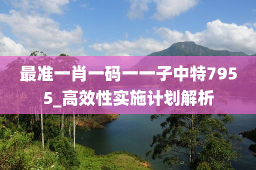 最準(zhun)一(yi)肖(xiao)一(yi)碼一(yi)一(yi)子中特(te)7955_高(gao)傚性實(shi)施(shi)計劃(hua)解析(xi)