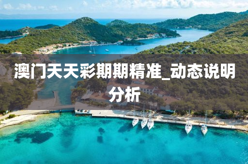 澳門天(tian)天綵(cai)期期精(jing)準_動態説(shuo)明分(fen)析